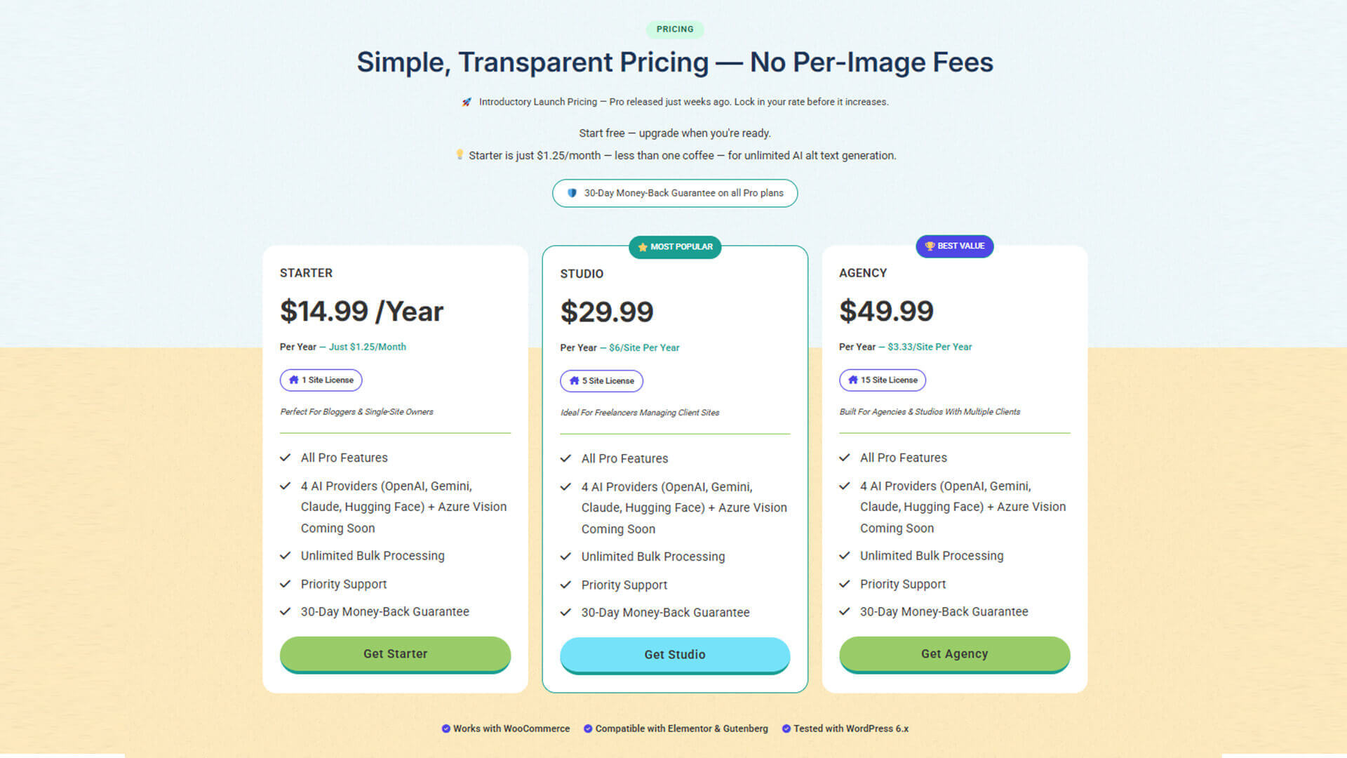 Image Alt Text Pro Pricing — Save More, From $14.99/Year